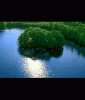 anim176220mobildesign.atw.hu_0187.gif